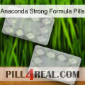 Anaconda Strong Formula Pills 17